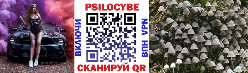 Галлюциногенные грибы прущие грибы  KRAKEN ссылки  Петрозаводск  закладка 